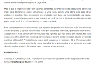 Eu vou escrever/revisar textos de acordo com sua necessidade