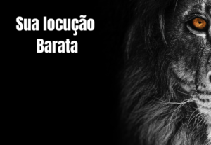 Eu vou fazer uma locução para você a melhor que já fiz