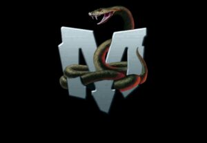 Eu vou fazer logotipo para loja ou Thumbnail para seu canal