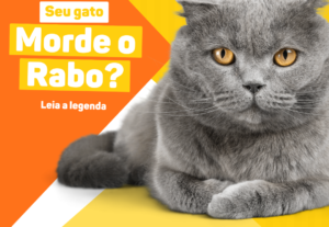 Eu vou criar posts, capas e avatar para sua rede social