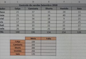 Eu vou Fazer sua Planilha, epresentação, narrar Textos.