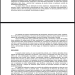 Eu vou resumir e formatar seu artigo