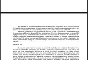 Eu vou resumir e formatar seu artigo