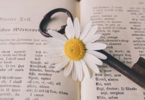 Eu vou traduzir o seu texto em inglês ou espanhol.