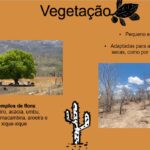 Eu vou fazer sua apresentação powerpoint