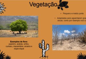 Eu vou fazer sua apresentação powerpoint