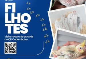 Eu vou criar suas artes para redes sociais