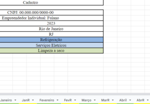 Eu vou fazer uma planilha funcional, como preferir