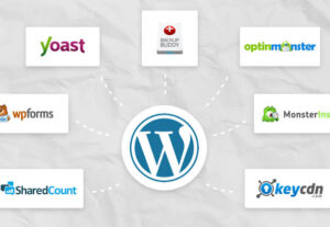 Eu vou Enviar plug-ins versão Pro para seu WordPress