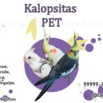 Eu vou editar sua foto para você.