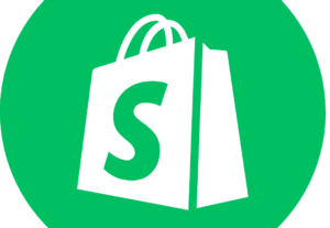 Eu vou fazer sua loja online na shopify mais themas