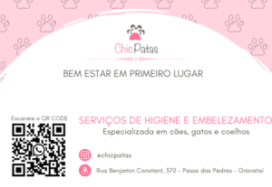 Eu vou criar seu cartão de visita