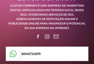 Eu vou criar seu site em 10 dias.