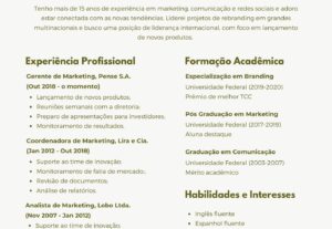 Eu vou Desenvolver seu Curriculo Profissional