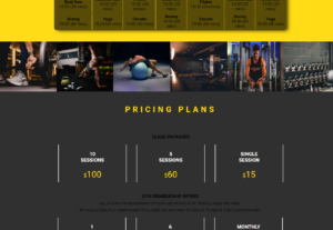 Eu vou fazer seu site/landing page profissional e responsivo