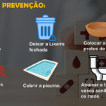 Eu vou montar uma apresentação no Power Point para você