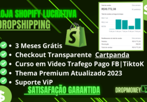 Eu vou  criar a sua loja dropshipping