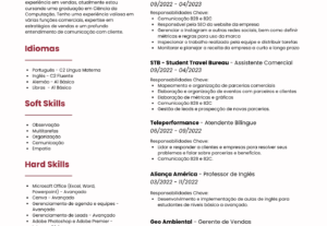 Eu vou fazer um currículo profissional para você
