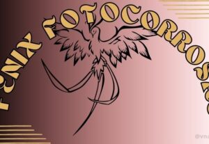 Eu vou digitar seus projetos, elaborar sua planilha ou logo.