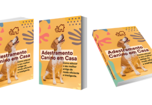 Eu vou Criar Seu E-book Digital