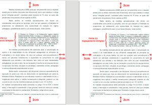 Eu vou Formatar o seu texto