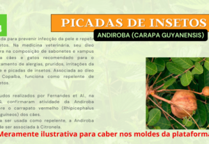 Eu vou diagramar o seu ebook