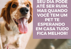 Eu vou Criar 4 posts para o Instagram super atraente.