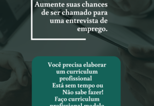 Eu vou fazer curriculum profissional modelo 2023