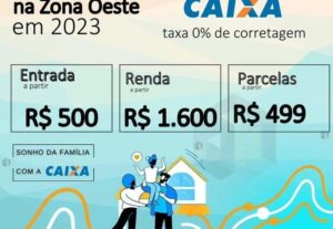 Eu vou fazer sua gestão de trafego
