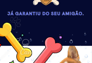 Eu vou fazer sua logo, anúncio e convites.