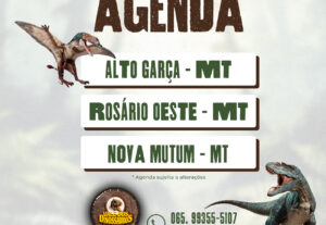 Eu vou fazer arte pra sua rede social