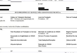 Eu vou fazer sua nota MEI no portal nacional da NFSe.