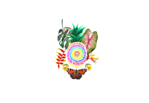 Eu vou fazer seus desenhos, banners, logo tipo, estampas