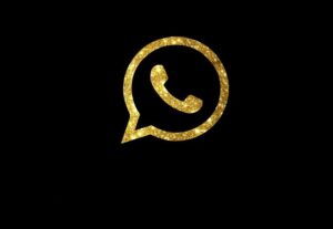Eu vou Fazer Sua logotipo por um preço abaixo