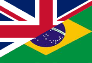 Eu vou traduzir e revisar do inglês e para o inglês