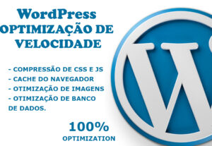 Eu vou otimizar seu site WordPress