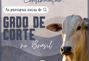 Eu vou fazer a arte do seu trabalho da faculdade/Instagram