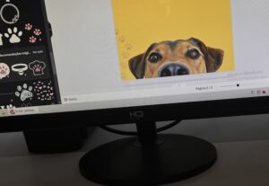 Eu vou criar artes para voce.