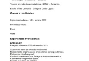 Eu vou Fazer um currículo ótimo para você