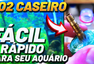Eu vou fazer sua Thumbnail para Youtube.