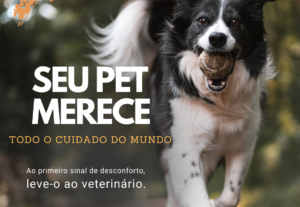 Eu vou fazer 4 posts com legendas para seu instagram