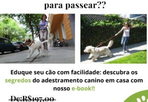 Eu vou fazer um design estiloso para seu projeto