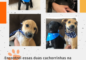 Eu vou fazer uma arte para sua marca ou empresa