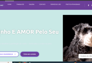 Eu vou criar e editar seu site.