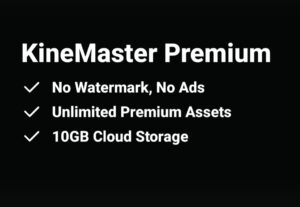 Eu vou Fazer edições de vídeo nível kinermaster padrão HD