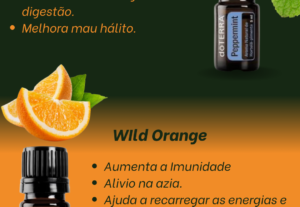 Eu vou fazer o design que você precisa o rapido
