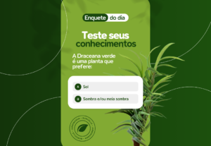 Eu vou criar 2 artes para sua loja