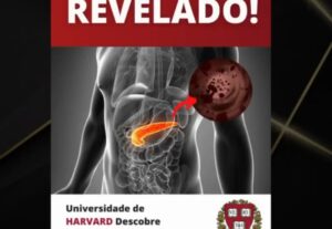 Eu vou criativos de alta conversão para seu anuncio