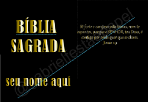 Eu vou criar a artes digitais p/ agenda, planner e bíblia.