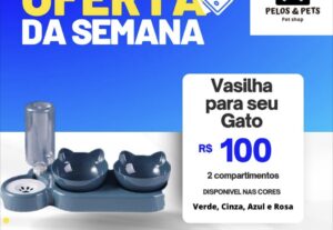 Eu vou Fazer propaganda para sua loja